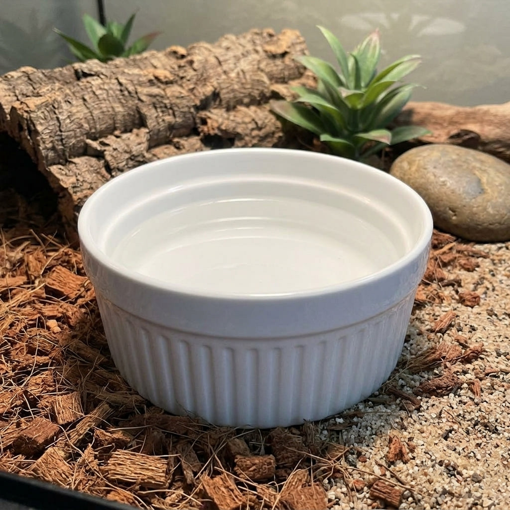 Anti-Tip Ceramic Reptile Water Bowl, Snake Accessories for Vivarium and Shedding Aid, Anti Escape Food Bowl for Geckos and Bearded Dragons