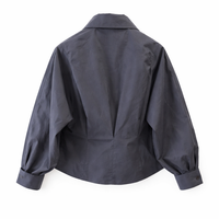 Long Sleeve Tops for Women with Pleated Design for Autumn, Premium Blouses for Capsule Wardrobe, Princess Shirts for Office Wear