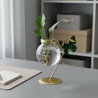 Water-Based Glass Vase Minimalist Design Wrought Iron Glass Planter Visible Underground Part Growth Tabletop Water-Based Vase for Beginners