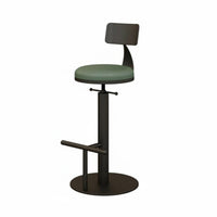 Adjustable rotate Stool with rear supportrest Minimalist Design for Adults, Entertainers