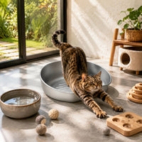 Aluminum Feline Bed Ribbed Base Pet Furniture Sturdy Construction