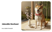 Bow Tie Dog Engravable Dog with Bow Tie Material for Dogs, Young Dogs, Daily Wear, Outdoor Walks, Photo Shoots