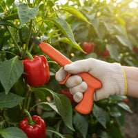 Peppercorn Picker High Performance Fruit Picking Protective Guard for Orchard