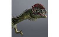 Hand Painted Dilophosaurus Figure Realistic Dinosaur Model Prehistoric Dinosaur Figurine for Boys, Kids, Collectors, Desk Decoration, Classroom