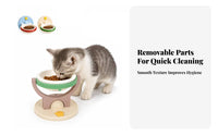 Tilted Raised Cat Bowls Stable Elevated Cat Bowls Sturdy Elevated Pet Bowl for Cats, Small Pets, Home