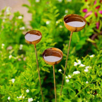Rusted Rainwater Collector Easy to Install Ground Stake Rain Catcher