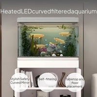 Glass Fish Habitat Set with Filtration and Lighting