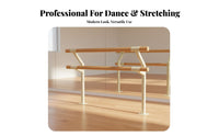 Double Layer Dance Barre Steel Core Double Dance Barre Heavy Duty Leg Stretching Stand for Dancers, Adults, School, Gym, Home