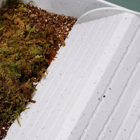 Large Turtle Basking Perch and Tortoise Bathing Pool, Textured Ramp Basin for Large Reptiles, Feeding and Soaking Dish
