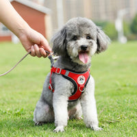 Small Dog Harness with Leash, Solid Color Polyester Chest Strap and Flat Rope Walking Set, Easy Control Outdoor Training for Small Pets