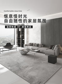 地毯客厅灰色轻奢高级感卧室床边毯沙发茶几毯2025新款家用大地垫 泊雾-BW【防滑防污防静电水晶绒】 80*160cm[床边使用]
