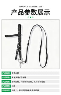 Standard Horse Bridle with Reins and Halter