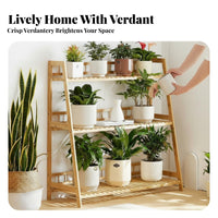 Multi-Tier Plant Stand adaptable Configuration for Patio, Front Porch, Beginners
