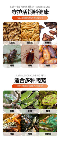 面包虫滤屎饲养箱防臭防潮杜比亚九龙虫筛选粪便饲养盒养殖盒活虫
