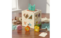 Multifunctional Shape Sorter Early Educational Wooden Sensory Surface Coating Educational Toy for Young Children
