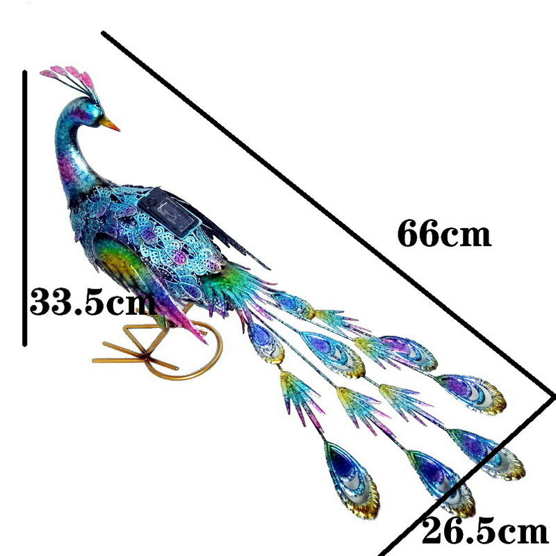 Peacock Looking Back