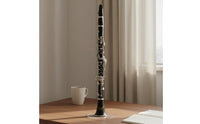 Beginner Friendly B Flat Clarinet Easy to Use B Flat Clarinet Long-Lasting Body Woodwind Instrument Stable Tuning for Students, Beginners, Kids, Practice, Music Lesson