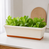 Rectangular Planter, Flower Pot, Resin, Deep Type, Balcony Vegetable Garden, Suitable for Living Rooms, With Automatic Watering Function, Clear Bottle, 240ml