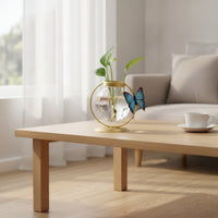 Water-Based Glass Vase Minimalist Design Wrought Iron Glass Planter Visible Underground Part Growth Tabletop Water-Based Vase for Beginners