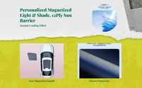 Car window shade blocks sun