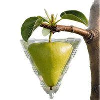 水果造型盒 Fruit Shaping Mold for Growing Unique水果造型模具