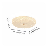 Modern Minimalist Ceiling Lamp Luxury Look Indoor Lighting Soft Radiance