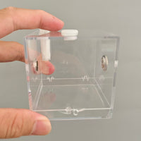 Jumping Arachnid Terrarium High Clarity Arthropod Terrarium Habitat Dimensional