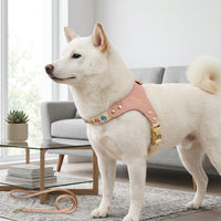 Small Dog Harness and Small Cat Harness Set, PU Leather Walking Harness with Collar, Outdoor Pet Gear Travel Harness Adjustable Loop Leash