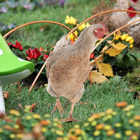 Acrylic Chicken Yard Art, Double-Sided Garden Stake for Outdoor Decor