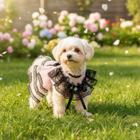 Pet Dog Cat Princess Dress Thin Lace Wedding Gown for Small Dogs