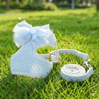 Vest Style Harness with Bow and Polka Dots, Adjustable Soft Dog Harness and Cat Leash Set for Small Dog, Non-Retractable Outdoor Cat Leash Use
