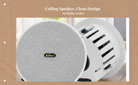 Ceiling stereo speaker for home use