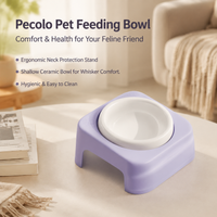 Elevated Pet Bowl, Ceramic Cat Food Bowl with Stand, 175ml Anti Vomit Shallow Dish for Felines & Small Dogs