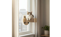 Wall Mounted Cat Perch Non-Permanent Attachment Installation Window Cat Hammock Space Capsule Design for Indoor Cats