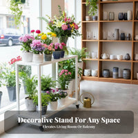 2-Tier Rolling Plant Stand Floor-Standing Flower Rack Large Capacity for Balcony