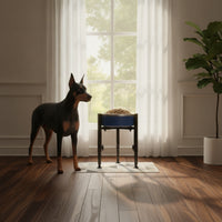 Elevated Feeding Stand Black Adjustable Dog Bowl Simple to Clean to Clean Adjustable Pet Bowl Holder for Dogs