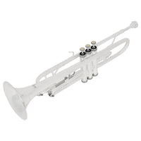 Professional Silver-Plated Brass Bb Trumpet for School Bands, Cross-Border Wholesale