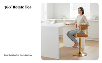 Adjustable Pedestal Bar Stool Modern Minimalist Design Adjustable rotating Stool