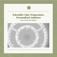 LED Retrofit Board, Adjustable Color