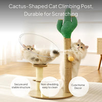 Xerophyte Cat Scratching Post with Space Capsule