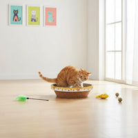 Sturdy Round Cat Scratcher Bowl Less Mess Round Cat Scratcher Bed Recyclable Material Corrugated Scratch Pad for Cats, Kittens