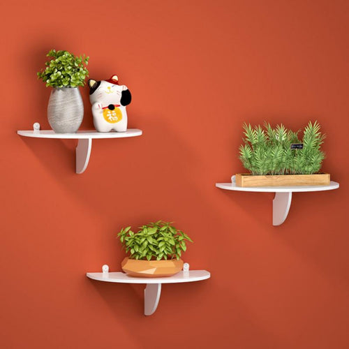 Semicircle Hanging Container on the vertical surfaceMounted Plant Holder adaptable for Renters