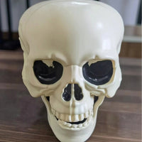 3 Pieces Bone-Colored Skull and Skeleton Arms Outdoor Skeleton Arm Stakes Spooky Halloween Lawn Stakes Scary