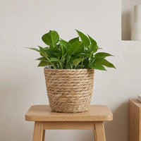 Woven Flower Pot Basket, Nordic Style Hug Bucket for Living Room Balcony Decor, Green Plant Pot Cover