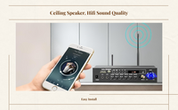 Ceiling stereo speaker for home use