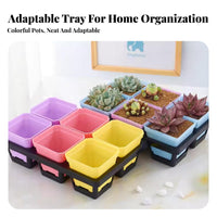 12compartment Pot Holder Reusable multi-compartment Pot Tray Organizing for Indoor, Gardeners