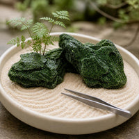 Miniature Irregular Mossy Rock Model for Dioramas and Micro Landscapes