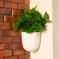 Plant Pots for a Hanging Plant and Wall Planter, Self Watering Corner Wall Mount Indoor Planter, Quarter Circle Wall Hanging Garden Pot Basket