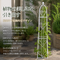 Iron Retro Trellis, 20-50cm, Small Obelisk, Clematis Support, Garden Decoration