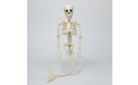 Light-up Halloween Mermaid Skeleton Articulated Skeleton with Mermaid Tail Posable Prop Movable for Haunted House, Porch
